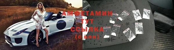 тгк Абаза