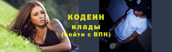дурь Алексин